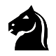 bN